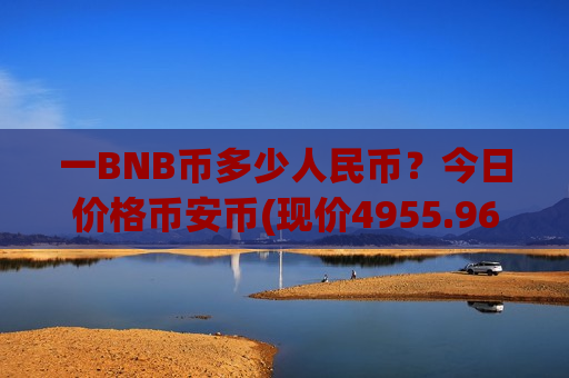 一BNB币多少人民币？今日价格币安币(现价4955.96元)