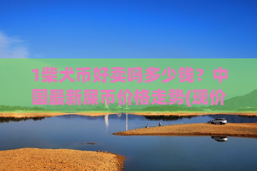 1柴犬币好卖吗多少钱？中国最新屎币价格走势(现价0.00016515元)