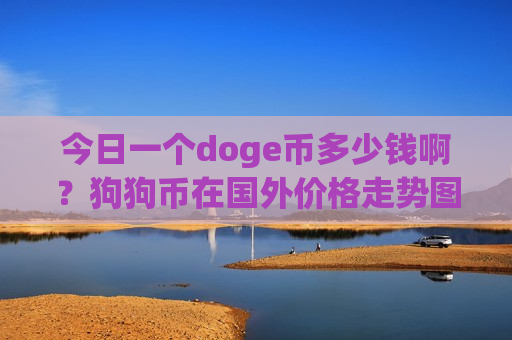 今日一个doge币多少钱啊？狗狗币在国外价格走势图(现价2.3259元)
