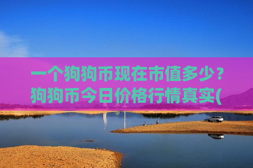 一个狗狗币现在市值多少？狗狗币今日价格行情真实(现价2.3119元)-第1张图片-币圈网