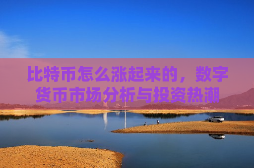 比特币怎么涨起来的，数字货币市场分析与投资热潮