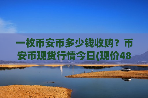 一枚币安币多少钱收购？币安币现货行情今日(现价4890.02元)-第1张图片-币圈网