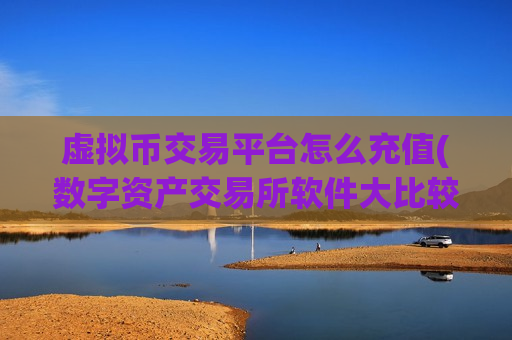 虚拟币交易平台怎么充值(数字资产交易所软件大比较)-第1张图片-币圈网