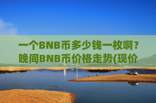 一个BNB币多少钱一枚啊？晚间BNB币价格走势(现价4885.92元)-第1张图片-币圈网
