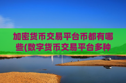 加密货币交易平台币都有哪些(数字货币交易平台多种交易模式)