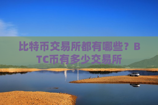比特币交易所都有哪些？BTC币有多少交易所