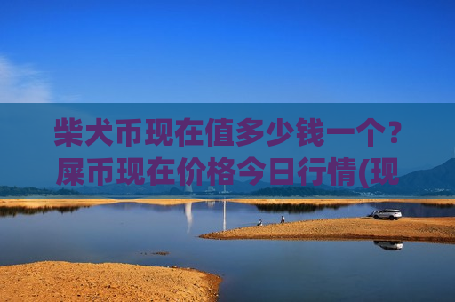 柴犬币现在值多少钱一个？屎币现在价格今日行情(现价0.00015493元)