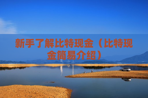 新手了解比特现金（比特现金简易介绍）-第1张图片-币圈网