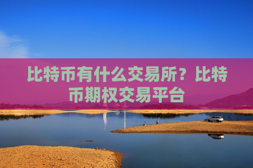 比特币有什么交易所？比特币期权交易平台-第1张图片-币圈网