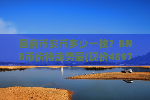目前币安币多少一枚？BNB币价格走势最(现价4897.04元)-第1张图片-币圈网