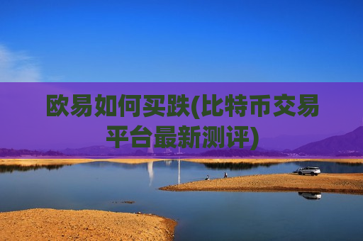 欧易如何买跌(比特币交易平台最新测评)-第1张图片-币圈网