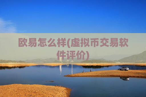 欧易怎么样(虚拟币交易软件评价)