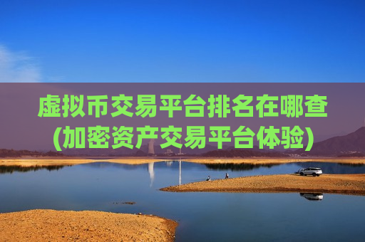 虚拟币交易平台排名在哪查(加密资产交易平台体验)