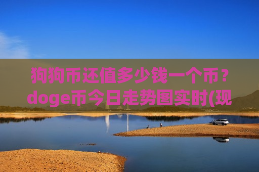 狗狗币还值多少钱一个币？doge币今日走势图实时(现价2.4497元)