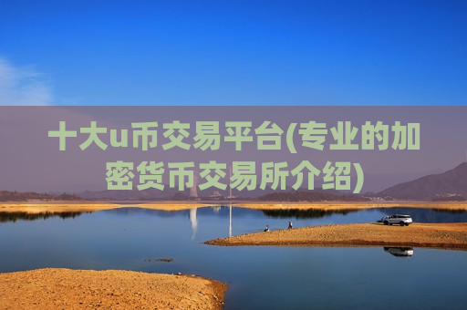 十大u币交易平台(专业的加密货币交易所介绍)-第1张图片-币圈网