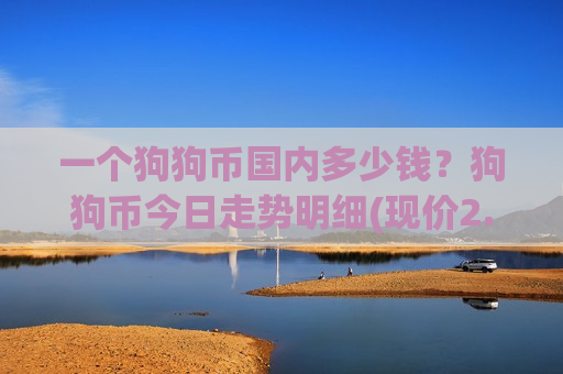 一个狗狗币国内多少钱？狗狗币今日走势明细(现价2.3662元)-第1张图片-币圈网