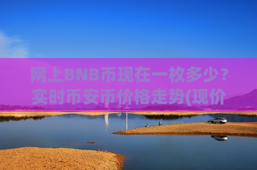 网上BNB币现在一枚多少？实时币安币价格走势(现价4961.07元)-第1张图片-币圈网