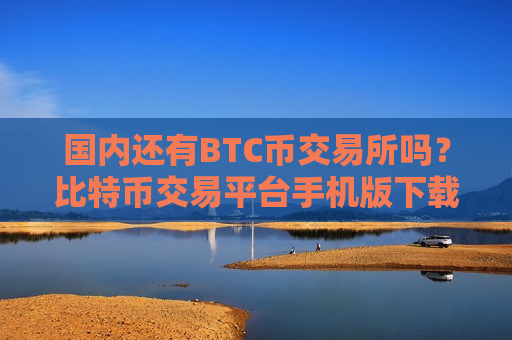 国内还有BTC币交易所吗？比特币交易平台手机版下载-第1张图片-币圈网