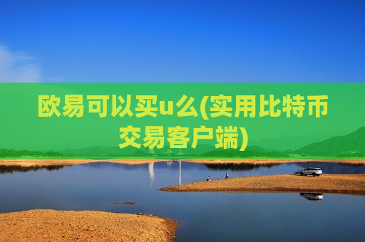 欧易可以买u么(实用比特币交易客户端)-第1张图片-币圈网