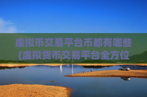 虚拟币交易平台币都有哪些(虚拟货币交易平台全方位评估)-第1张图片-币圈网