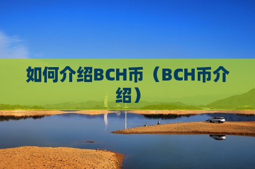 如何介绍BCH币(BCH币介绍)-第1张图片-币圈网 如何介绍BCH币(BCH币介绍)-第1张图片-币圈网