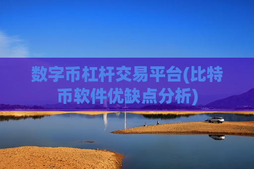 数字币杠杆交易平台(比特币软件优缺点分析)-第1张图片-币圈网