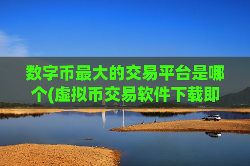 数字币最大的交易平台是哪个(虚拟币交易软件下载即用)