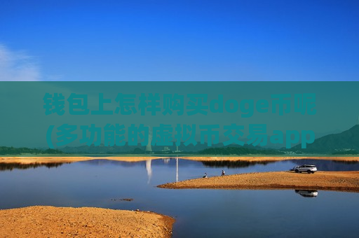钱包上怎样购买doge币呢(多功能的虚拟币交易app)-第1张图片-币圈网 钱包上怎样购买doge币呢(多功能的虚拟币交易app)-第1张图片-币圈网