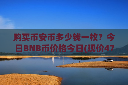 购买币安币多少钱一枚？今日BNB币价格今日(现价4748.5元)