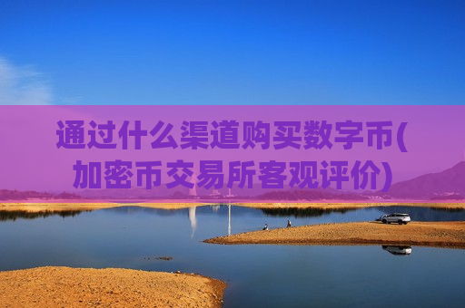 通过什么渠道购买数字币(加密币交易所客观评价)-第1张图片-币圈网