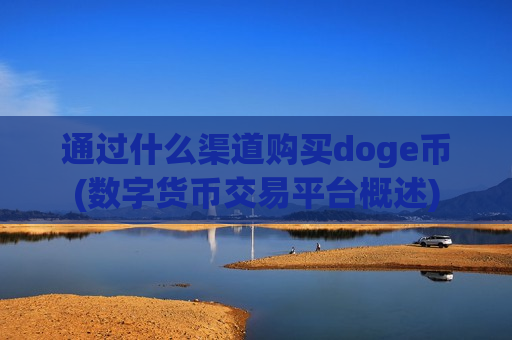通过什么渠道购买doge币(数字货币交易平台概述)-第1张图片-币圈网