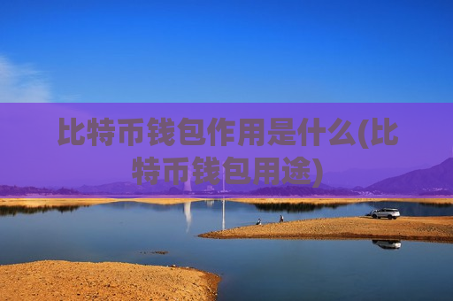 比特币钱包作用是什么(比特币钱包用途)-第1张图片-币圈网 比特币钱包作用是什么(比特币钱包用途)-第1张图片-币圈网