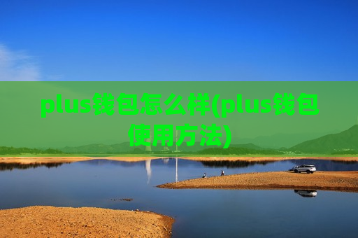 plus钱包怎么样(plus钱包使用方法)-第1张图片-币圈网 plus钱包怎么样(plus钱包使用方法)-第1张图片-币圈网