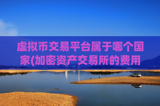 虚拟币交易平台属于哪个国家(加密资产交易所的费用比较)