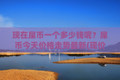 现在屎币一个多少钱呢？屎币今天价格走势最新(现价0.00016213元)