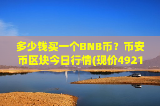 多少钱买一个BNB币？币安币区块今日行情(现价4921.06元)