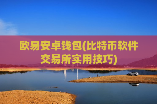 欧易安卓钱包(比特币软件交易所实用技巧)