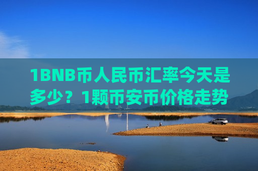 1BNB币人民币汇率今天是多少?1颗币安币价格走势如何(现价4663.55元)-第1张图片-币圈网 1BNB币人民币汇率今天是多少?1颗币安币价格走势如何(现价4663.55元)-第1张图片-币圈网