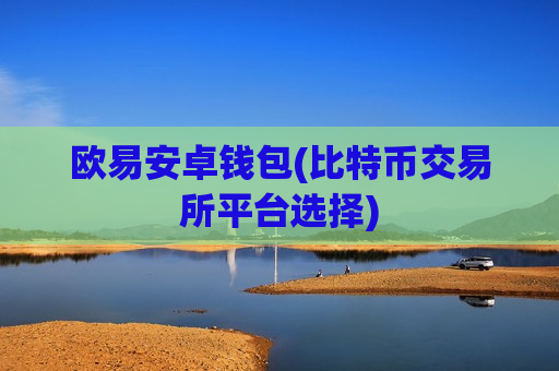 欧易安卓钱包(比特币交易所平台选择)