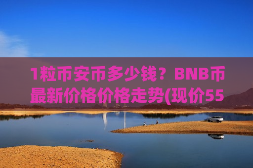 1粒币安币多少钱？BNB币最新价格价格走势(现价5515.94元)