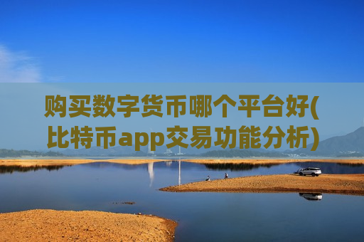 购买数字货币哪个平台好(比特币app交易功能分析)-第1张图片-币圈网 购买数字货币哪个平台好(比特币app交易功能分析)-第1张图片-币圈网