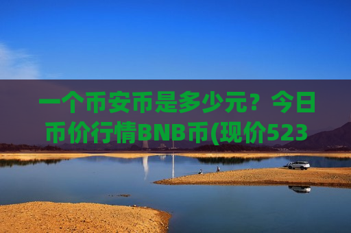 一个币安币是多少元？今日币价行情BNB币(现价5237.93元)-第1张图片-币圈网