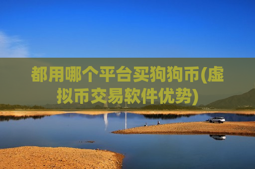 都用哪个平台买狗狗币(虚拟币交易软件优势)-第1张图片-币圈网 都用哪个平台买狗狗币(虚拟币交易软件优势)-第1张图片-币圈网