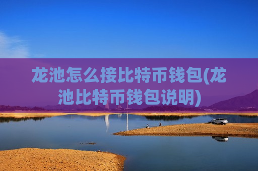 龙池怎么接比特币钱包(龙池比特币钱包说明)-第1张图片-币圈网