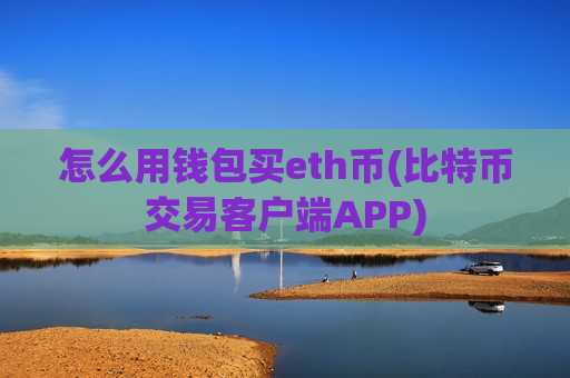 怎么用钱包买eth币(比特币交易客户端APP)