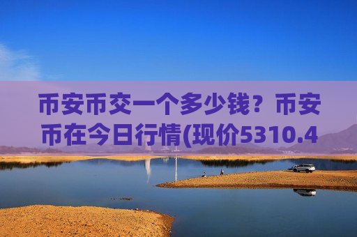 币安币交一个多少钱？币安币在今日行情(现价5310.45元)