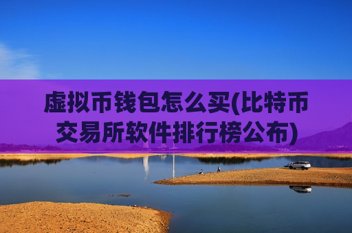 虚拟币钱包怎么买(比特币交易所软件排行榜公布)