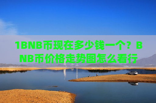 1BNB币现在多少钱一个？BNB币价格走势图怎么看行情(现价5308.65元)
