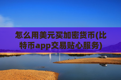 怎么用美元买加密货币(比特币app交易贴心服务)