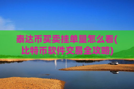 泰达币买卖挂单量怎么看(比特币软件交易全攻略)